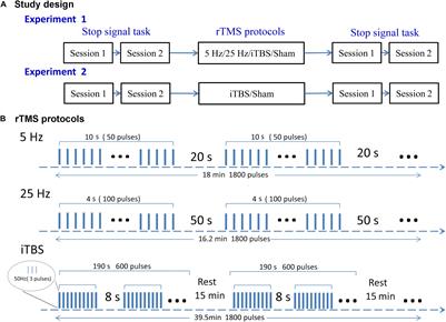 Aftereffect and Reproducibility of Three Excitatory Repetitive TMS Protocols for a Response Inhibition Task